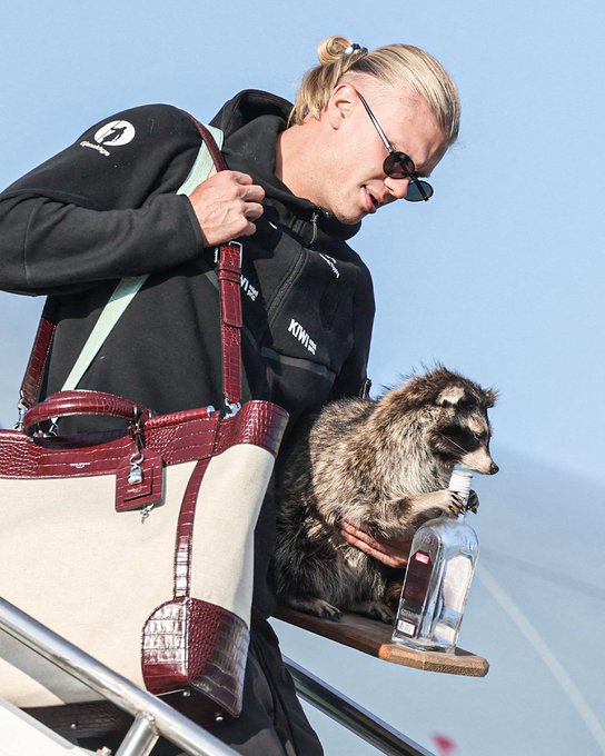 Erling Haaland arrives back in Norway with a taxidermy raccoon