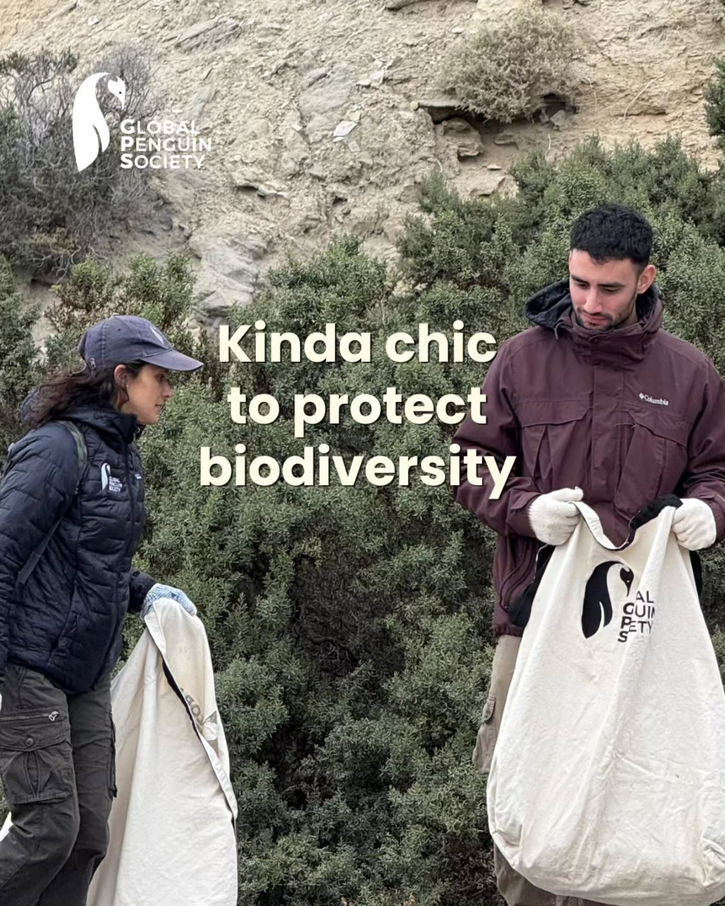 What’s kinda chic? Making room for wildlife. As Magellanic penguins prepare to return to the Patagonian coast, keeping their breeding grounds clean becomes more important than ever. Every piece of plastic we remove, every beach we restore and every habitat we protect helps create a safer place for penguins and for the many species that share these ecosystems. Protecting penguins isn’t just about penguins it’s about protecting biodiversity, coastal ecosystems and the ocean we all depend on.
Kinda chic is caring for nature. Always.
¿Qué es kinda chic? Hacerle lugar a la vida silvestre. Mientras los pingüinos de Magallanes se preparan para regresar a las costas patagónicas, mantener limpios sus sitios de reproducción es más importante que nunca. Cada pieza de plástico que retiramos, cada playa que restauramos y cada hábitat que protegemos contribuye a crear un lugar más seguro para los pingüinos y para las muchas especies que comparten estos ecosistemas. Proteger a los pingüinos no se trata sólo de los pingüinos: se trata de proteger la biodiversidad, los ecosistemas costeros y el océano del que todos dependemos. Kinda chic es cuidar la naturaleza. Siempre.
#KindOfChic #Penguins #WildlifeConservation #Biodiversity #OceanConservation
moonicara
2d
❤️