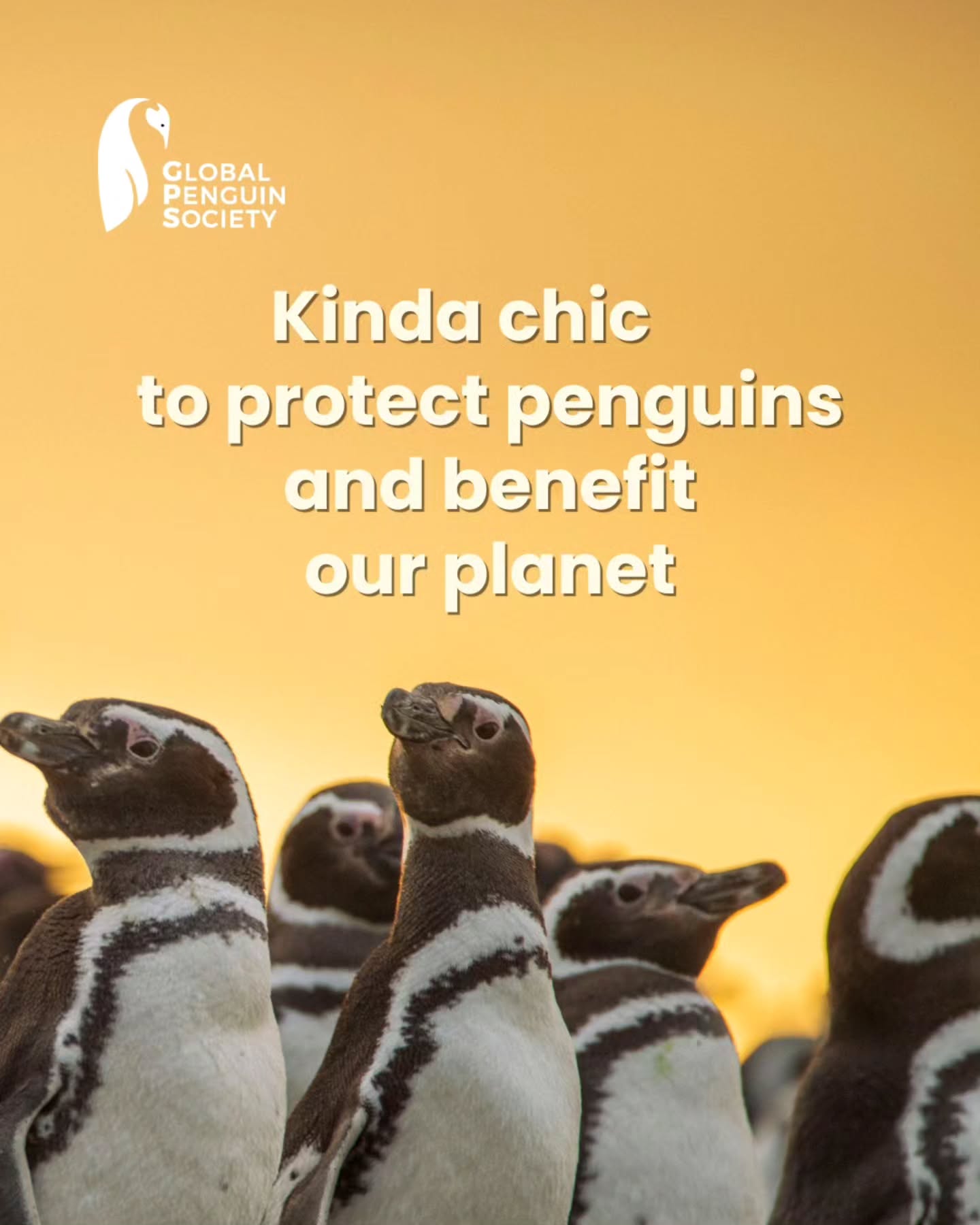 What’s kinda chic? Making room for wildlife. As Magellanic penguins prepare to return to the Patagonian coast, keeping their breeding grounds clean becomes more important than ever. Every piece of plastic we remove, every beach we restore and every habitat we protect helps create a safer place for penguins and for the many species that share these ecosystems. Protecting penguins isn’t just about penguins it’s about protecting biodiversity, coastal ecosystems and the ocean we all depend on.
Kinda chic is caring for nature. Always.
¿Qué es kinda chic? Hacerle lugar a la vida silvestre. Mientras los pingüinos de Magallanes se preparan para regresar a las costas patagónicas, mantener limpios sus sitios de reproducción es más importante que nunca. Cada pieza de plástico que retiramos, cada playa que restauramos y cada hábitat que protegemos contribuye a crear un lugar más seguro para los pingüinos y para las muchas especies que comparten estos ecosistemas. Proteger a los pingüinos no se trata sólo de los pingüinos: se trata de proteger la biodiversidad, los ecosistemas costeros y el océano del que todos dependemos. Kinda chic es cuidar la naturaleza. Siempre.
#KindOfChic #Penguins #WildlifeConservation #Biodiversity #OceanConservation
moonicara
2d
❤️