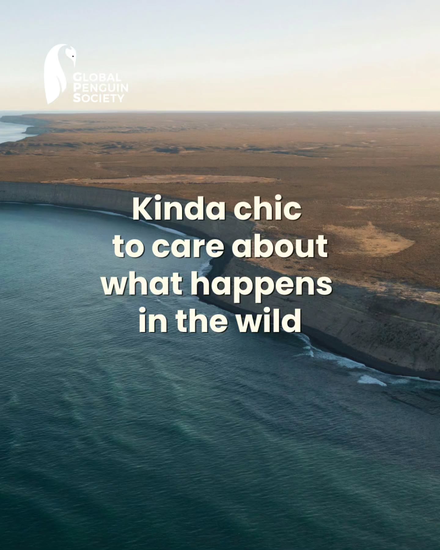What’s kinda chic? Making room for wildlife. As Magellanic penguins prepare to return to the Patagonian coast, keeping their breeding grounds clean becomes more important than ever. Every piece of plastic we remove, every beach we restore and every habitat we protect helps create a safer place for penguins and for the many species that share these ecosystems. Protecting penguins isn’t just about penguins it’s about protecting biodiversity, coastal ecosystems and the ocean we all depend on.
Kinda chic is caring for nature. Always.
¿Qué es kinda chic? Hacerle lugar a la vida silvestre. Mientras los pingüinos de Magallanes se preparan para regresar a las costas patagónicas, mantener limpios sus sitios de reproducción es más importante que nunca. Cada pieza de plástico que retiramos, cada playa que restauramos y cada hábitat que protegemos contribuye a crear un lugar más seguro para los pingüinos y para las muchas especies que comparten estos ecosistemas. Proteger a los pingüinos no se trata sólo de los pingüinos: se trata de proteger la biodiversidad, los ecosistemas costeros y el océano del que todos dependemos. Kinda chic es cuidar la naturaleza. Siempre.
#KindOfChic #Penguins #WildlifeConservation #Biodiversity #OceanConservation
moonicara
2d
❤️