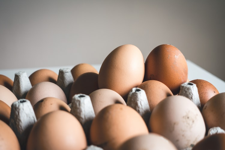 沒有雞蛋的蛋？美國公司用「人造蛋」 打破你對「蛋」的想像