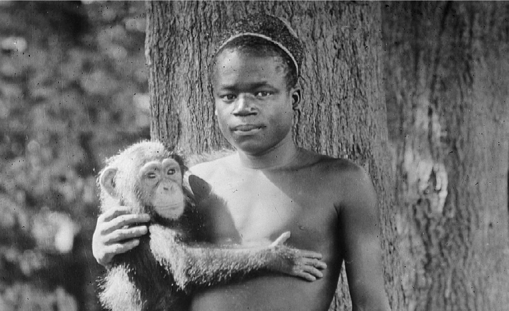 在動物園，被關進籠子供人觀賞的非洲少年